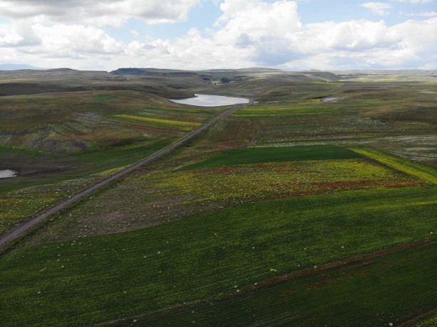 Foto - Kars'ta mest eden görüntü! Renk cümbüşü havadan görüntülendi
