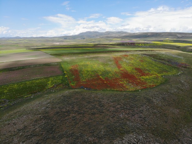 Foto - Kars'ta mest eden görüntü! Renk cümbüşü havadan görüntülendi