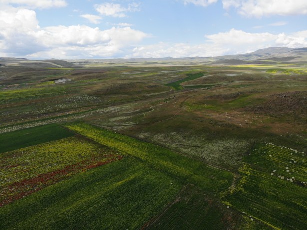 Foto - Kars'ta mest eden görüntü! Renk cümbüşü havadan görüntülendi