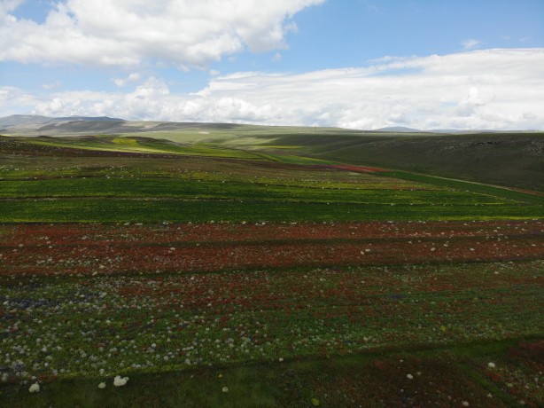 Foto - Kars'ta mest eden görüntü! Renk cümbüşü havadan görüntülendi