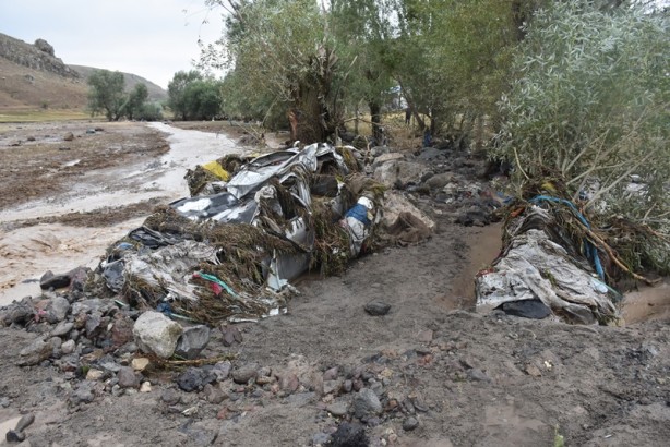 Foto - Kars'ta sel, araç ve hayvanları sürükledi