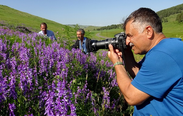Foto - Kars'ta yağmurlar sonrası doğa canlandı