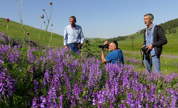 Foto - Kars'ta yağmurlar sonrası doğa canlandı