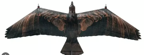 Foto - Kartal şeklinde İHA üretildi! Herkes şokta