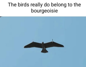 Foto - Kartal şeklinde İHA üretildi! Herkes şokta