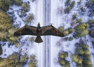 Kartal şeklinde İHA üretildi! Herkes şokta