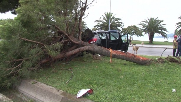 Kartal'da kontrolden çıkan otomobil refüje girdi: 3 yaralı