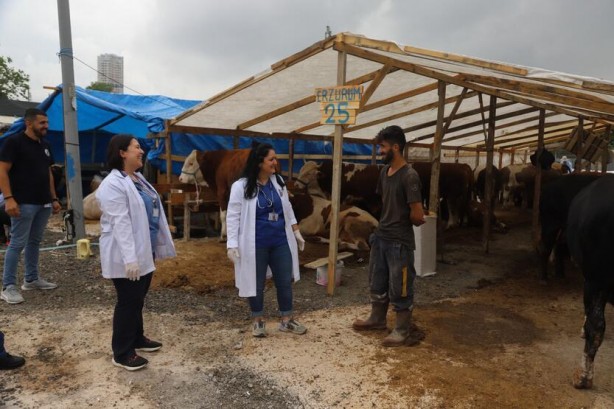 Foto - Kartal'da, kurbanlık hayvanlar sağlık kontrolünden geçiyor