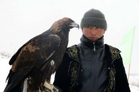 Foto - Kartalların nefes kesen tilki avı