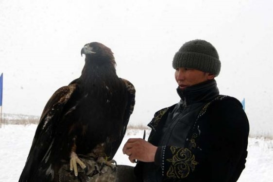 Foto - Kartalların nefes kesen tilki avı