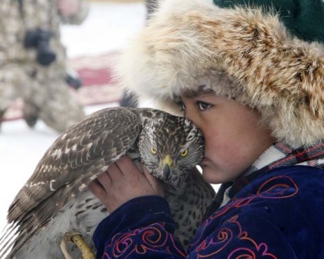 Foto - Kartalların nefes kesen tilki avı