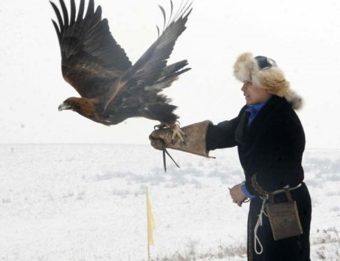 Foto - Kartalların nefes kesen tilki avı
