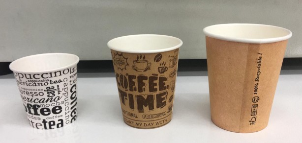 Foto - Karton bardak tedavisi olmayan o hastalığa neden olabilir