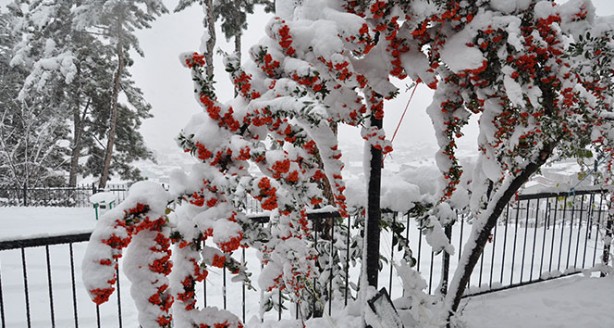 Foto - Kartpostallık en güzel kış manzaraları