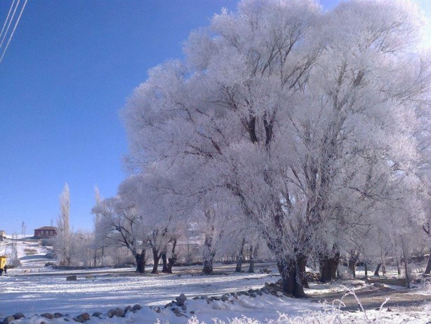 Foto - Kartpostallık en güzel kış manzaraları