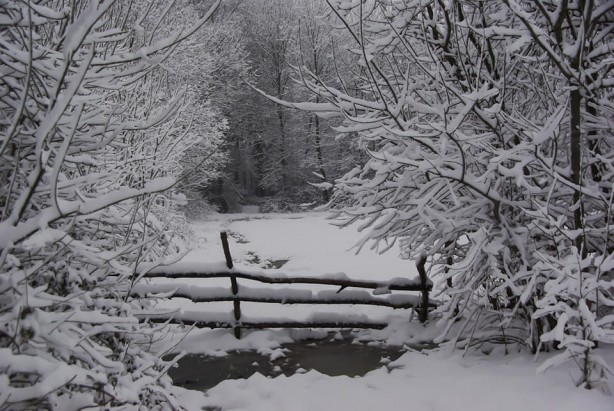 Foto - Kartpostallık en güzel kış manzaraları