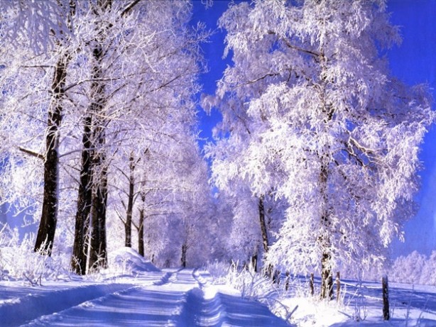 Foto - Kartpostallık en güzel kış manzaraları