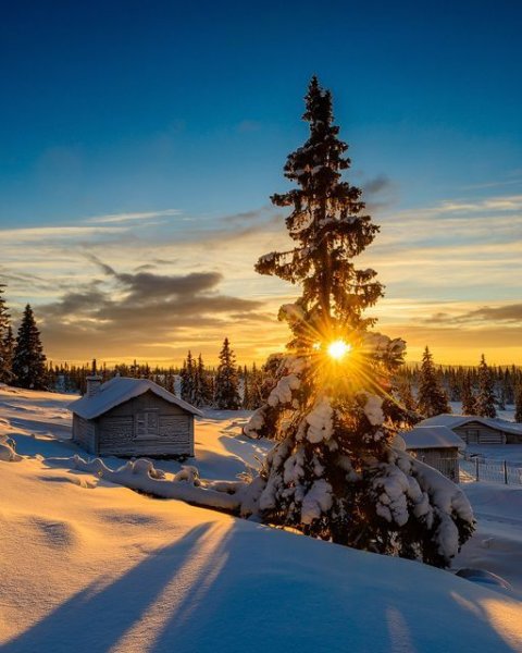 Foto - Kartpostallık en güzel kış manzaraları