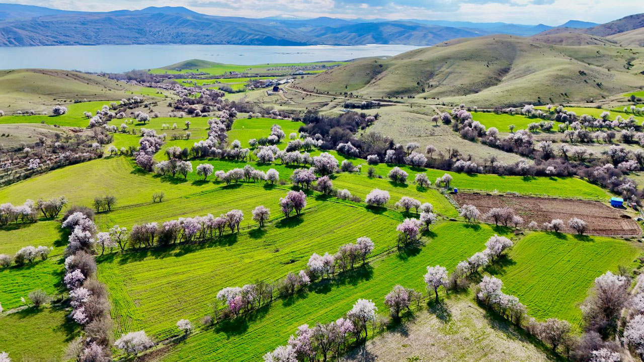 Kartpostallık görüntü! Baharın en güzel hali