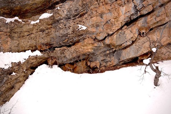 Foto - Kartpostallık kış manzaraları 