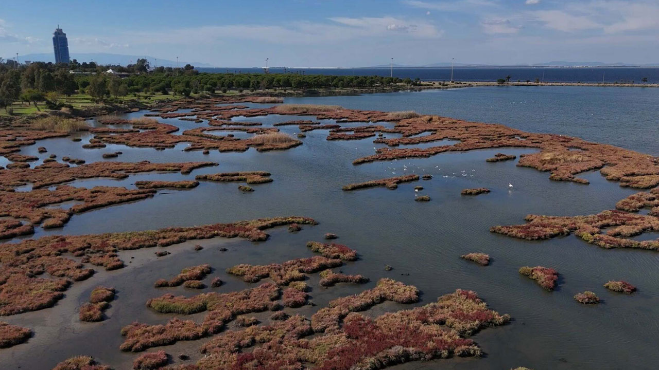 Kartpostallık manzara! Çakalburnu Lagünü sonbaharda bambaşka