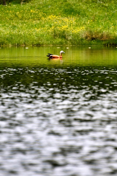 Foto - Kartpostallık manzara garantili göl