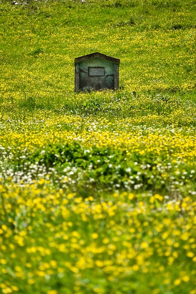 Foto - Kartpostallık manzara garantili göl