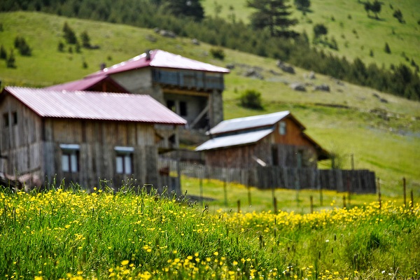 Foto - Kartpostallık manzara garantili göl