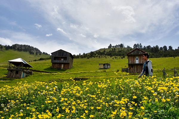 Foto - Kartpostallık manzara garantili göl
