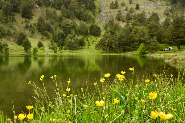 Foto - Kartpostallık manzara garantili göl