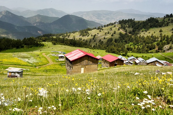 Foto - Kartpostallık manzara garantili göl
