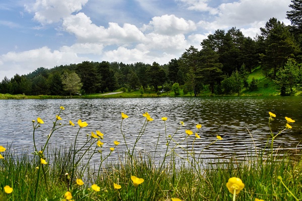 Foto - Kartpostallık manzara garantili göl