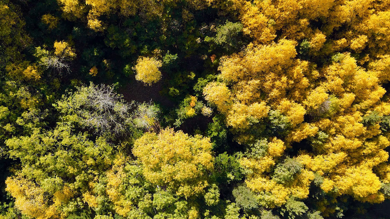 Foto - Kartpostallık manzaralar! Sonbaharın büyülü tablosu