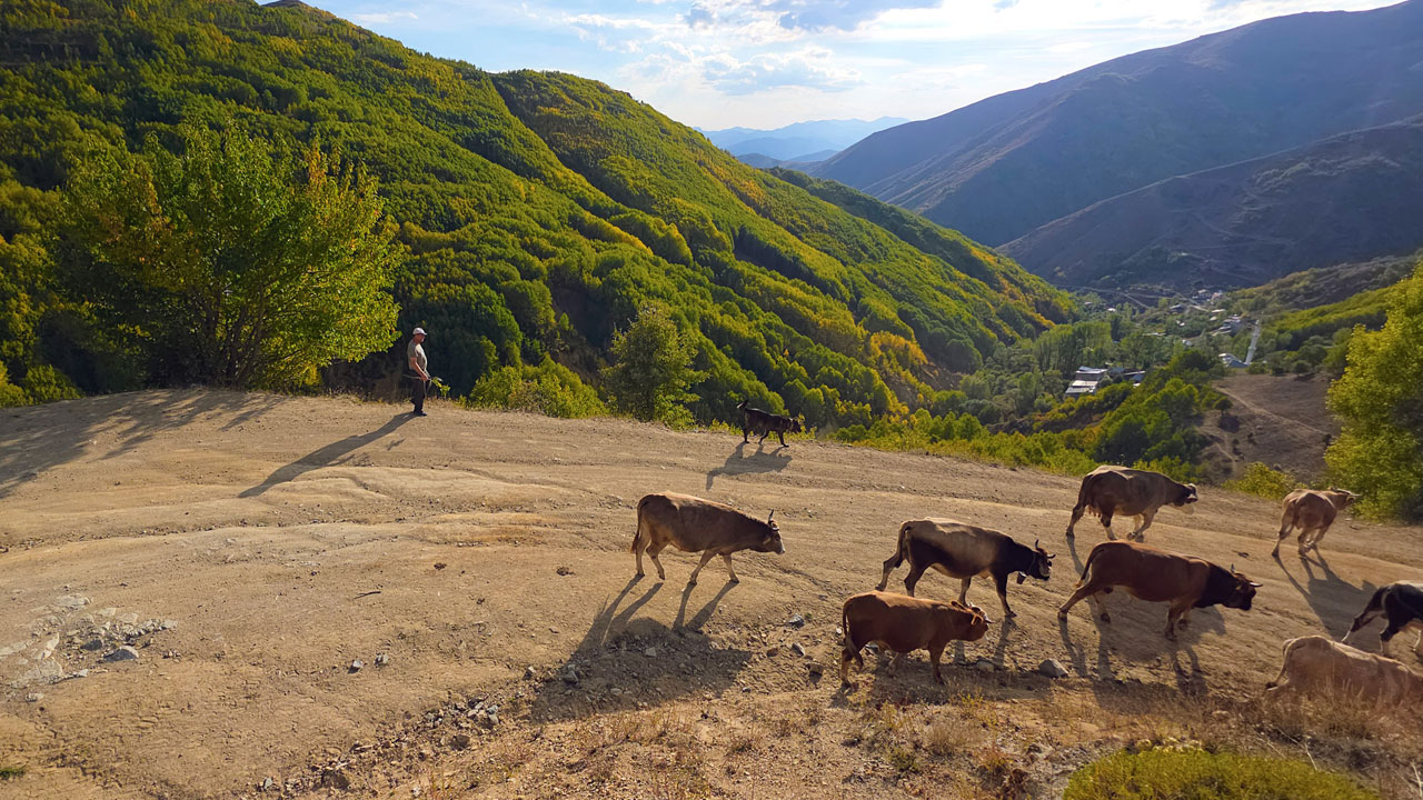 Foto - Kartpostallık manzaralar! Sonbaharın büyülü tablosu