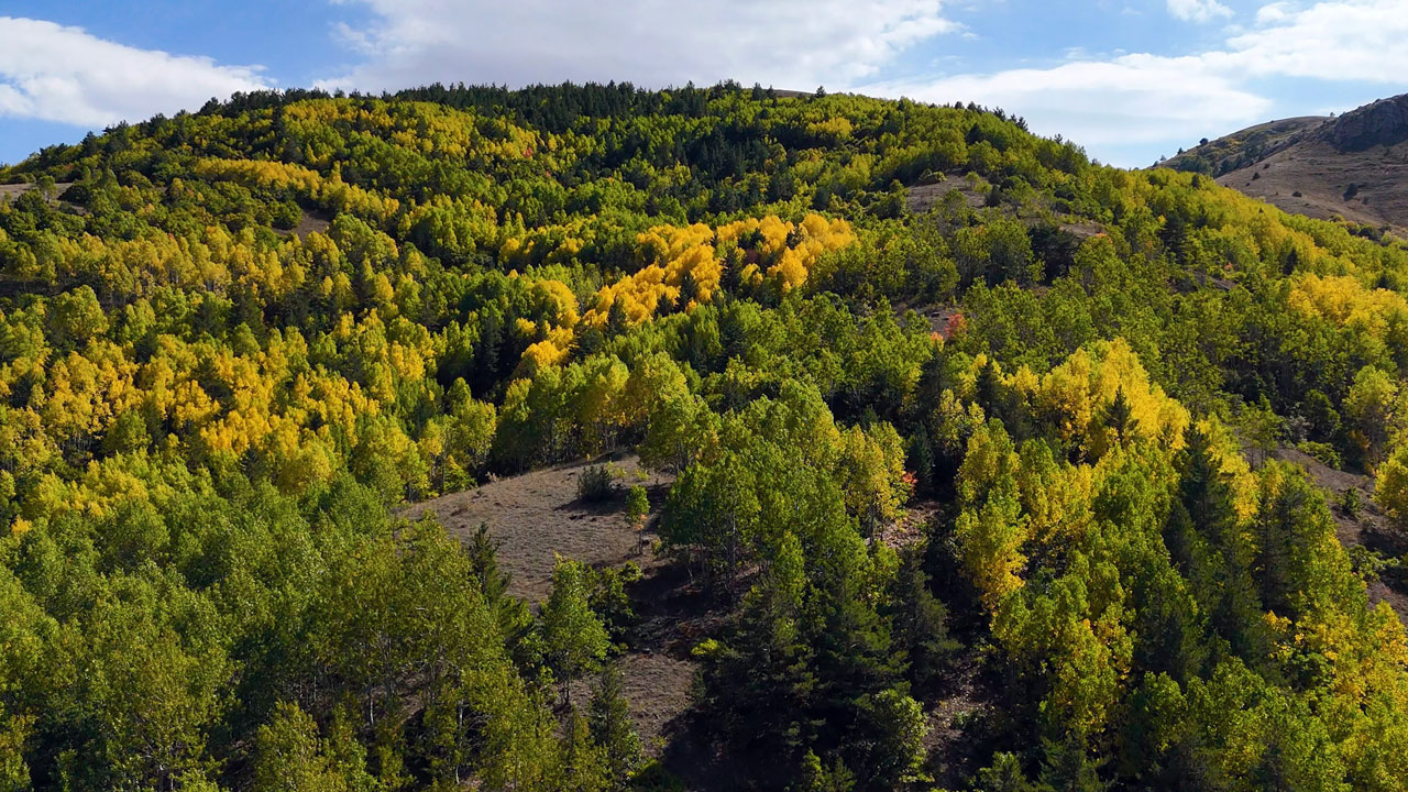 Kartpostallık manzaralar! Sonbaharın büyülü tablosu