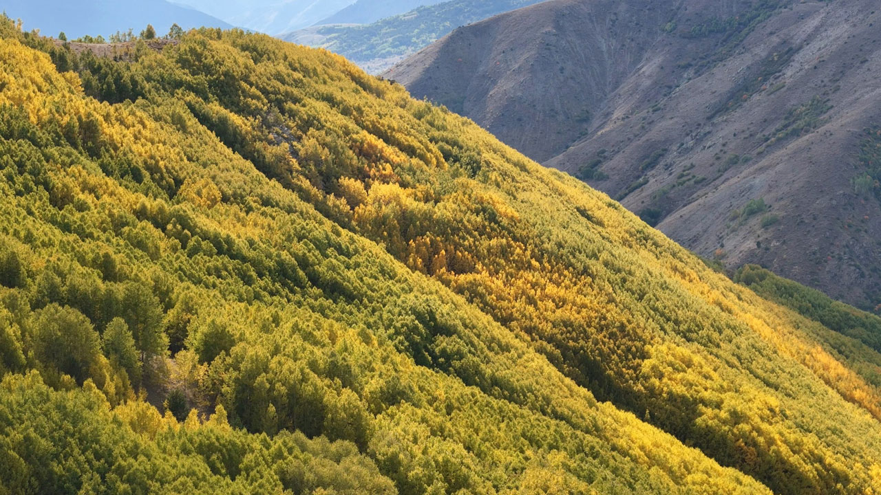 Foto - Kartpostallık manzaralar! Sonbaharın büyülü tablosu