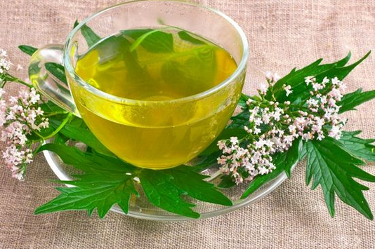 Foto - Kas gevşetici bitkiler! Rahatlatan 7 çay tarifi: Herkes bir bir içiyor, etkili oluyor! Duyan soluğu markette aldı