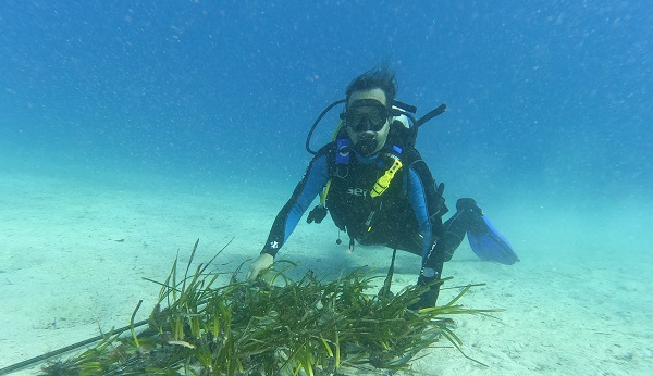 Foto - Kaş-Kekova'da deniz çayırı ekimi gerçekleştirdi