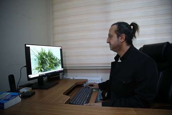 Foto - Kaş-Kekova'da deniz çayırı ekimi gerçekleştirdi