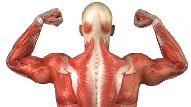 Kas yapan inanılmaz 19 besin!