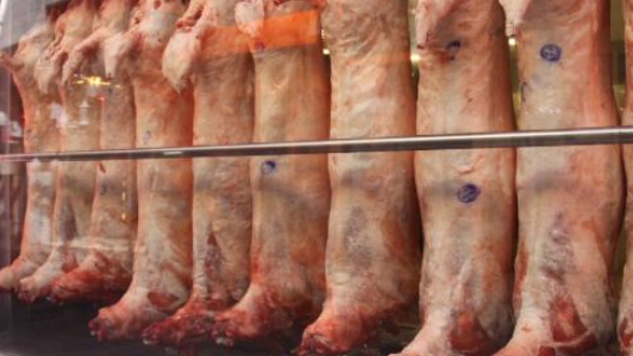 Foto - Kasaplardan et alanlar: Bu belirti varsa sakın almayın! Ankara Kasaplar Odası Başkanı uyardı