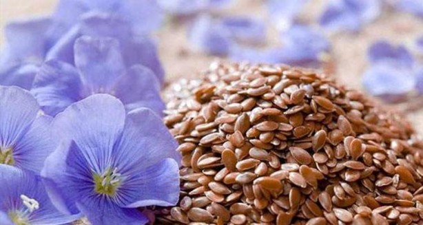 Foto - Kaşık kaşık yiyince safra kesesini temizliyor! Tıkalı damarları lavabo gibi açıyor, kolesterolden eser bırakmıyor