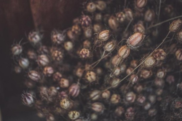 Foto - Kaşık kaşık yiyince safra kesesini temizliyor! Tıkalı damarları lavabo gibi açıyor, kolesterolden eser bırakmıyor