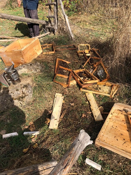 Foto - Kastamonu'da ayı kovanları böyle telef etti