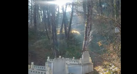 Foto - Kastamonu’da esrarengiz olay! Mezarlıktaki ağaçtan çıkanı görenler gözlerine inanamadı! Şehir sabaha kadar uyuyamadı