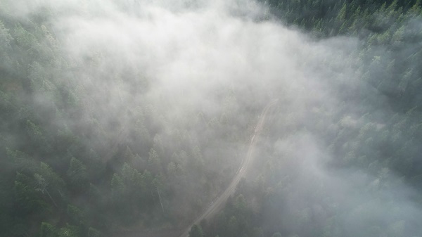 Foto - Kastamonu'da görsel şölen
