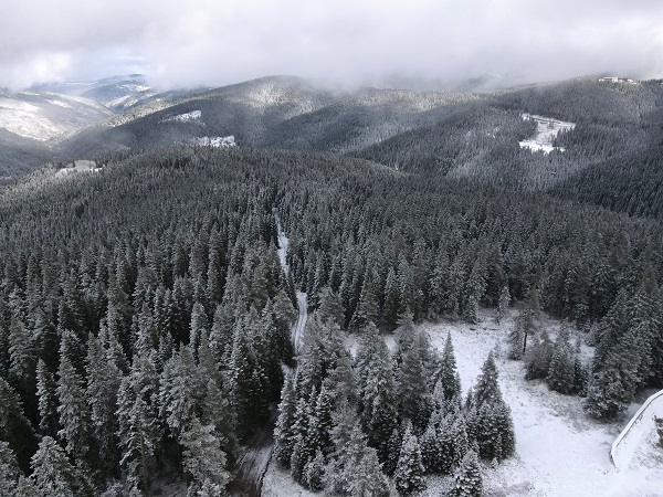 Foto - Kastamonu’da görsel şölen
