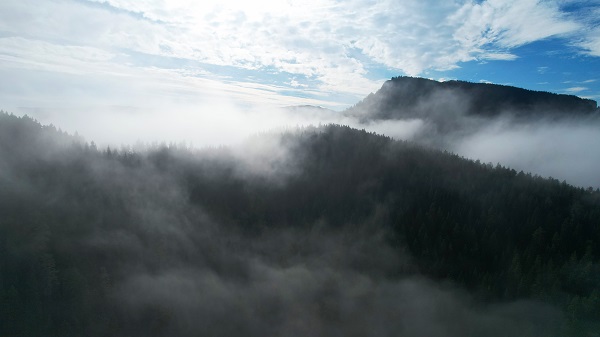 Foto - Kastamonu'da görsel şölen