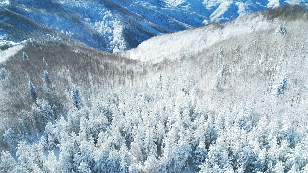 Foto - Kastamonu'da görsel şölen