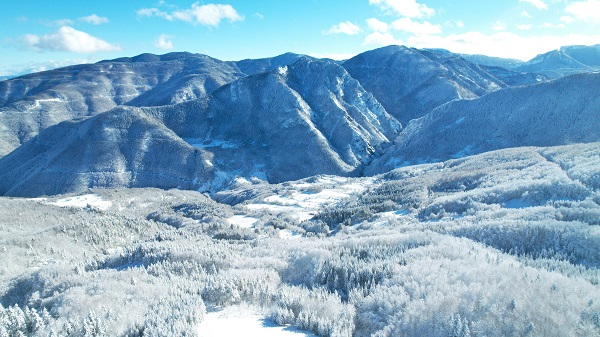 Foto - Kastamonu'da görsel şölen